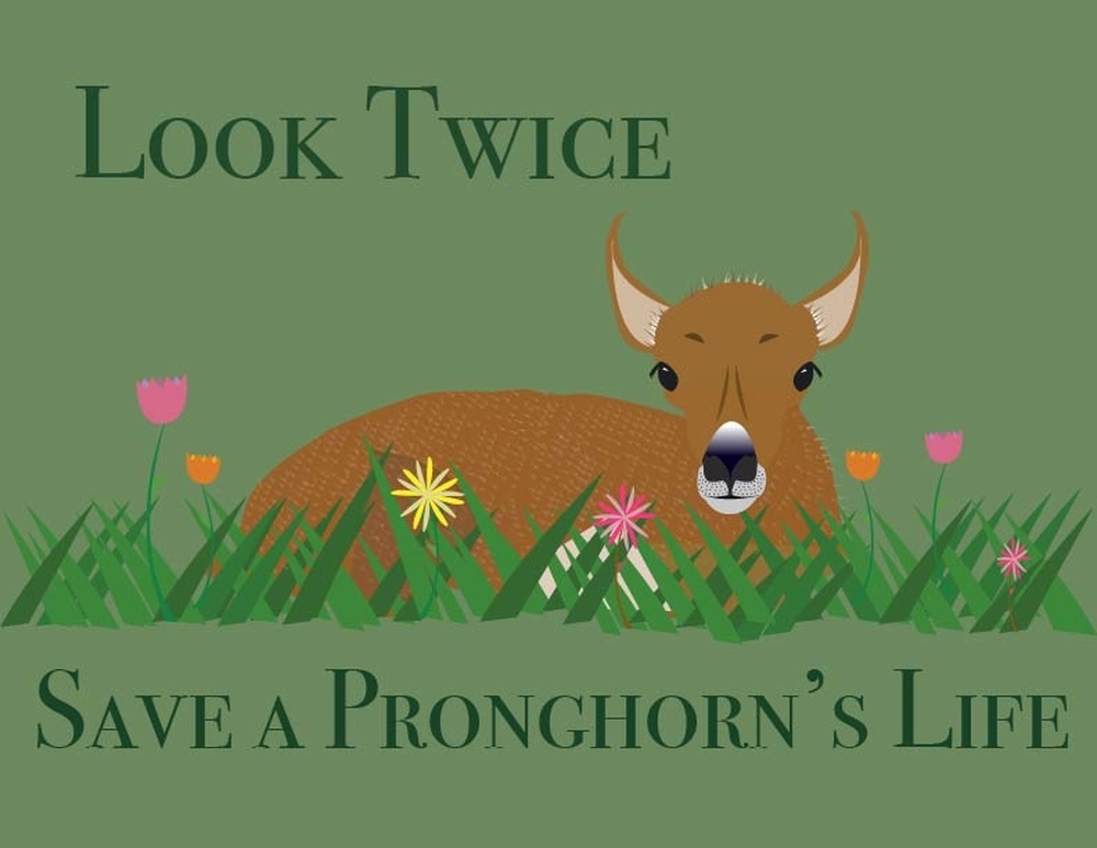 Pronghorn Safety Awareness