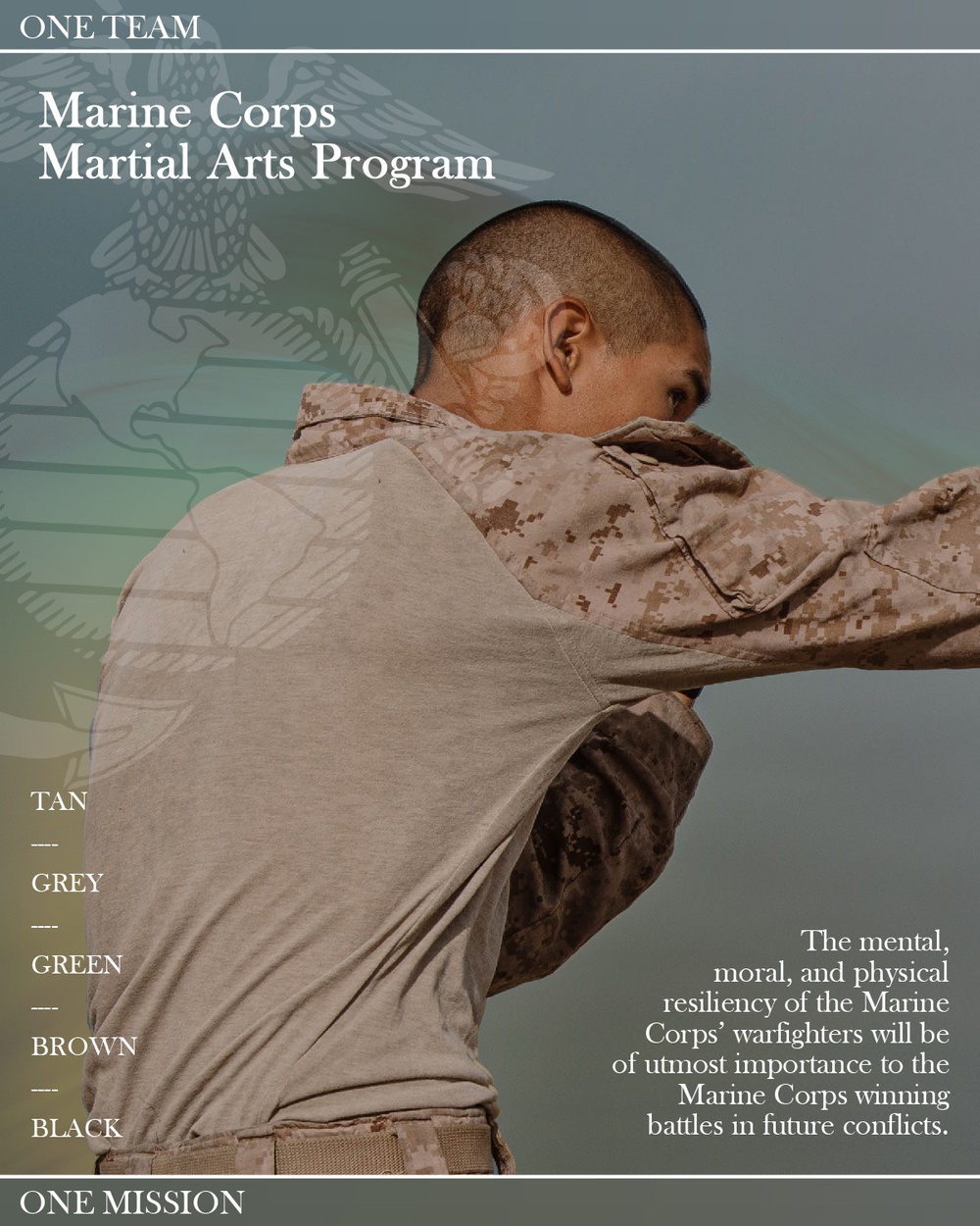 Marine Corps Martial Arts Program Infographic