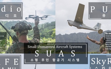 15th MEU South Korea Armed Forces Day Static Display Posters