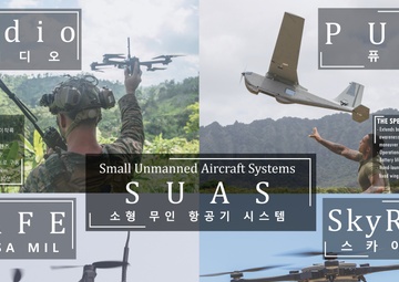 15th MEU South Korea Armed Forces Day Static Display Posters