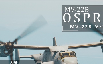 15th MEU South Korea Armed Forces Day Static Display Posters