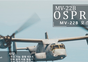 15th MEU South Korea Armed Forces Day Static Display Posters
