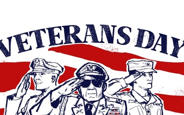 Veterans Day Graphic