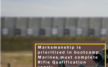 Rifle Qualification