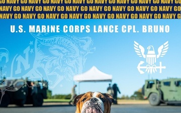 Lance Cpl. Bruno says Go Navy Beat Army