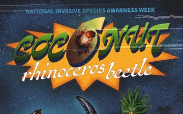 National Invasive Species Awareness Week: Coconut Rhinoceros Beetle