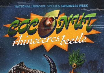 National Invasive Species Awareness Week: Coconut Rhinoceros Beetle