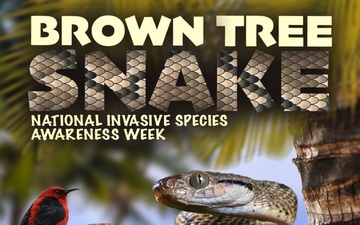 National Invasive Species Awareness Week: Brown Tree Snake