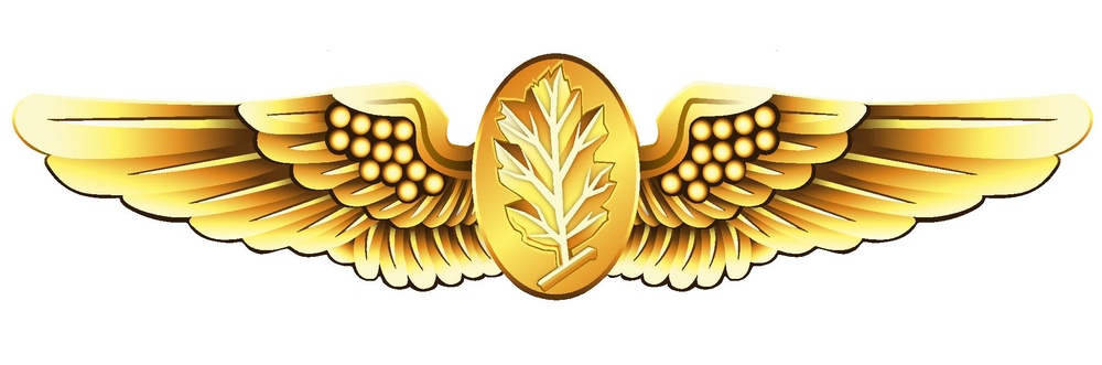 Aviation Experimental Psychologist and Aviation Physiologist Insignia