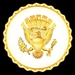 Vice Presidential Service Badge