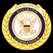 Recruit Division Commander Badge with Gold Wreath Award