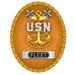 Fleet Master Chief (FLTCM) Identification Badge