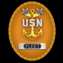 Fleet Master Chief (FLTCM) Identification Badge