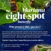 National Butterfly Day, the Mariana eight – spot butterfly
