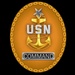 Command Senior Chief Identification Badge (CMDCS/CSEL)