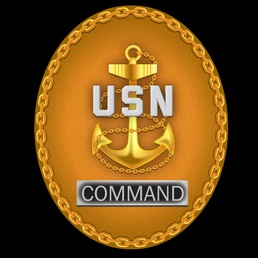 Command Chief Identification Badge (CSEL)