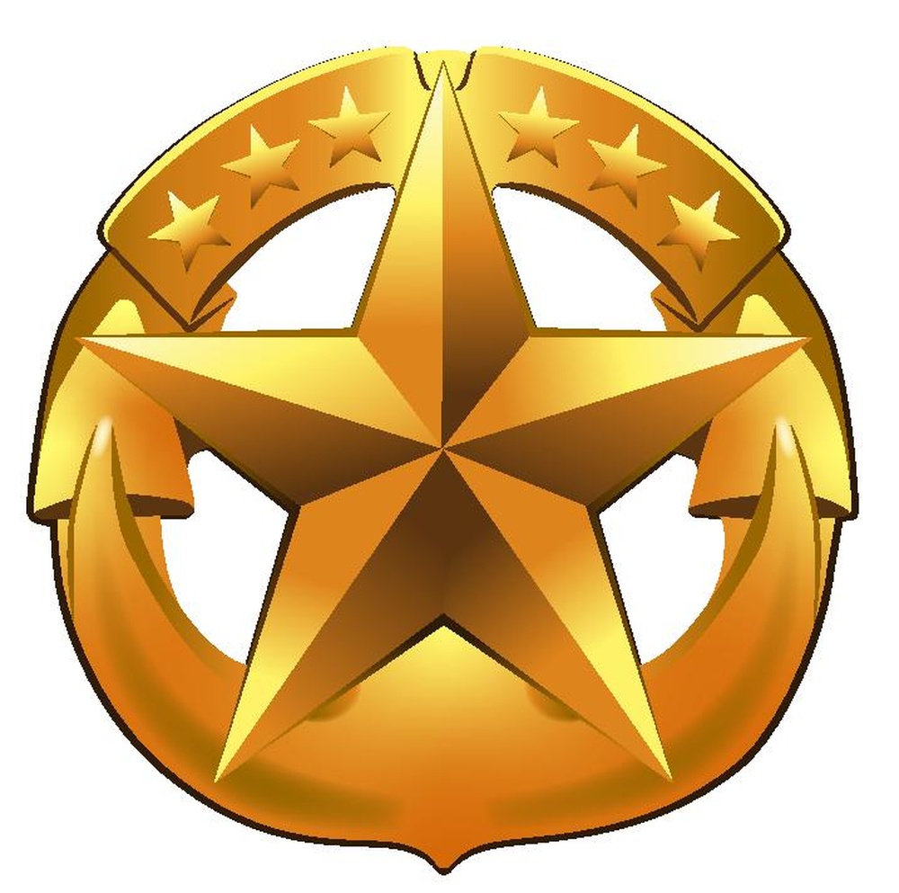 Command at Sea Insignia