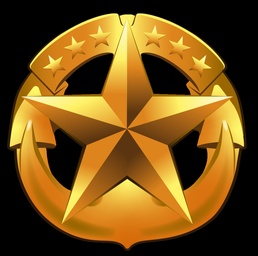 Command at Sea Insignia