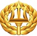 Command Ashore/Project Manager Insignia