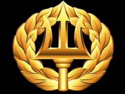 Command Ashore/Project Manager Insignia