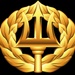 Command Ashore/Project Manager Insignia