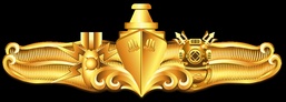 Special Operations Warfare Insignia