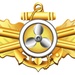 Engineering Duty Officer Insignia