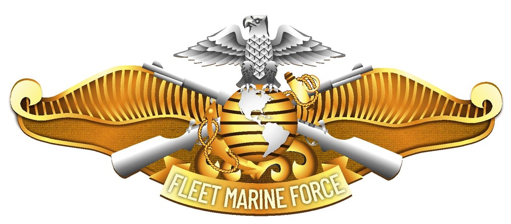 Fleet Marine Force (FMF) Officer Insignia