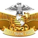 Fleet Marine Force (FMF) Officer (Chaplain) Insignia