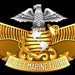 Fleet Marine Force (FMF) Officer (Chaplain) Insignia