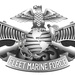 Fleet Marine Force (FMF) Enlisted Warfare Specialist Insignia