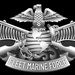 Fleet Marine Force (FMF) Enlisted Warfare Specialist Insignia