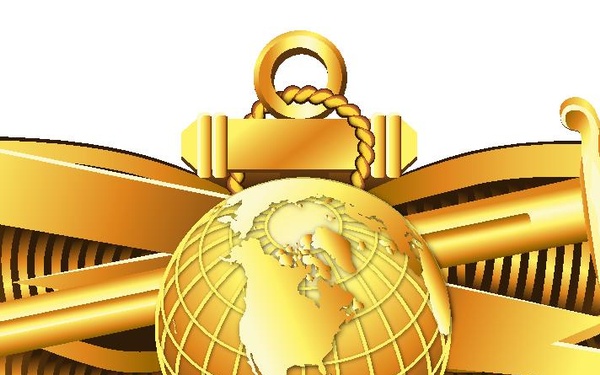 Information Warfare (IW) Officer Insignia