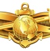 Information Warfare (IW) Officer Insignia