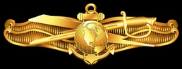 Information Warfare (IW) Officer insignia