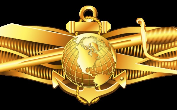Information Warfare (IW) Officer Insignia
