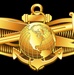 Information Warfare (IW) Officer insignia