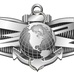 Enlisted Information Warfare Specialist (IW) Insignia