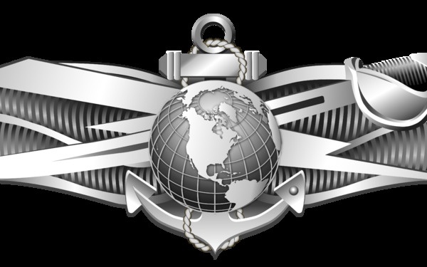 Enlisted Information Warfare Specialist (IW) insignia