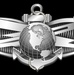 Enlisted Information Warfare Specialist (IW) Insignia