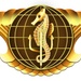 Integrated Undersea Surveillance System (Officer) Insignia