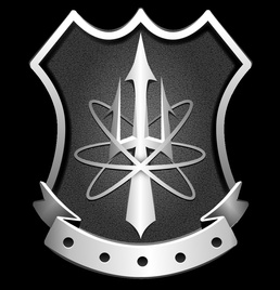 Nuclear Weapons Security (NWS) Enlisted Insignia