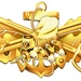 Seabee Combat Warfare Specialist (SCWS) Officer Insignia