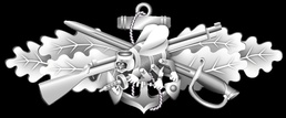 Seabee Combat Warfare Specialist (SCWS) Enlisted Insignia