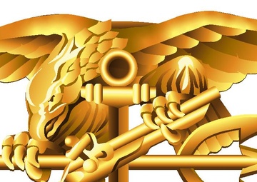Special Warfare (SEAL) Insignia