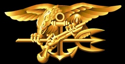 Special Warfare (SEAL) Insignia
