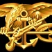 Special Warfare (SEAL) Insignia