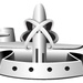SSBN Deterrent Patrol (Silver) Insignia