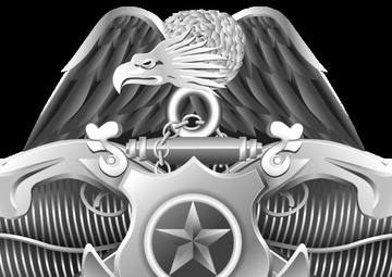 Navy Security Force (NSF) Master Specialist Insignia