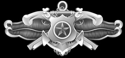 Navy Security Force (NSF) Senior Specialist Insignia